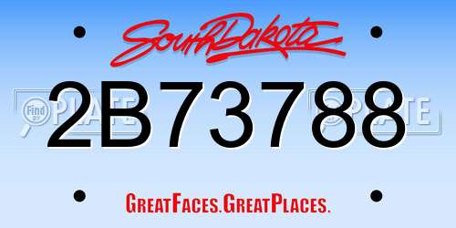 2B73788 South Dakota License Plate