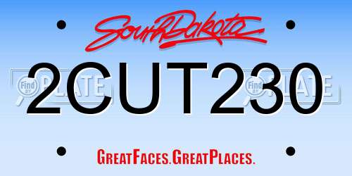 2CUT230 South Dakota License Plate