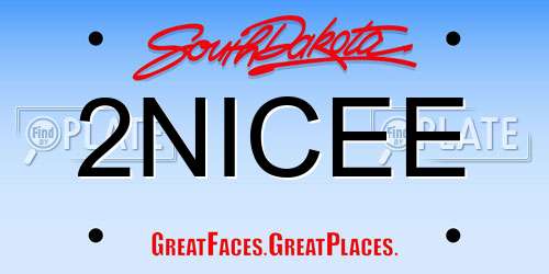 2NICEE South Dakota License Plate