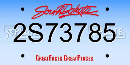 2S73785 South Dakota License Plate