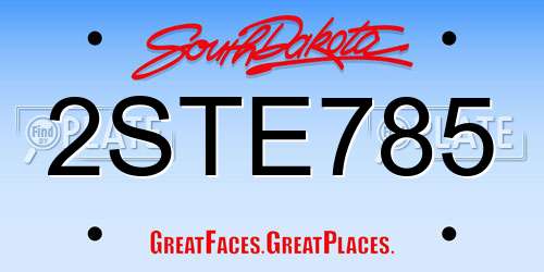 2STE785 South Dakota License Plate