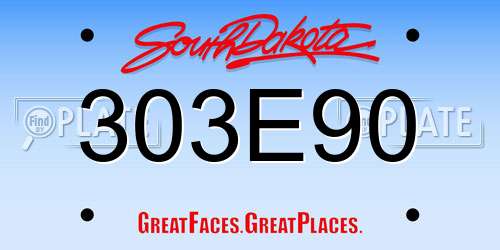 303E90 South Dakota License Plate