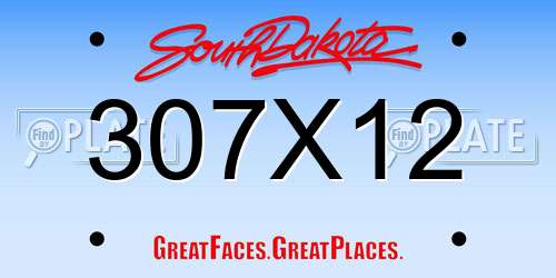 307X12 South Dakota License Plate