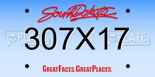 307X17 South Dakota License Plate