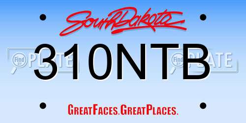 310NTB South Dakota License Plate