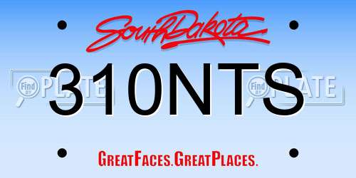 310NTS South Dakota License Plate