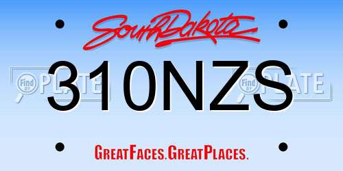 310NZS South Dakota License Plate