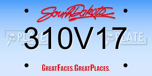310V17 South Dakota License Plate