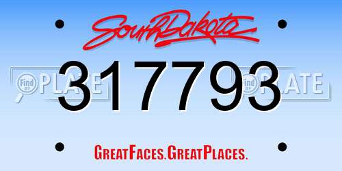 317793 South Dakota License Plate