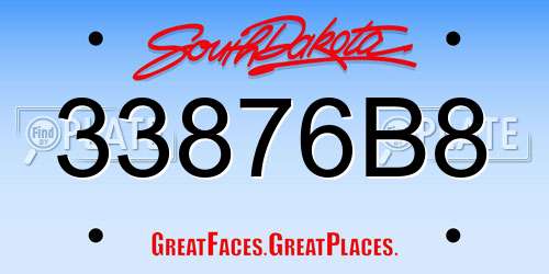 33876B8 South Dakota License Plate