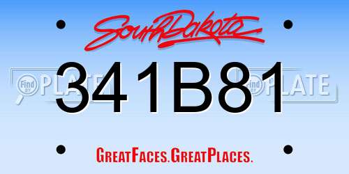 341B81 South Dakota License Plate