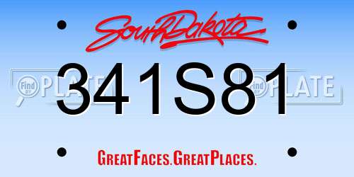 341S81 South Dakota License Plate