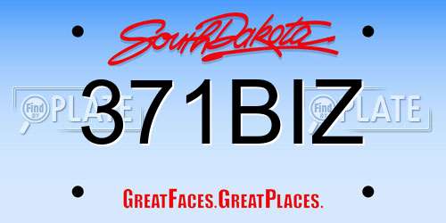 371BIZ South Dakota License Plate