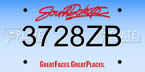 3728ZB South Dakota License Plate