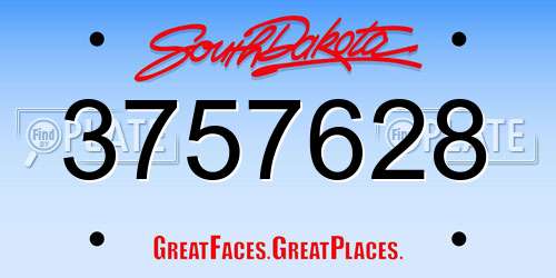 3757628 South Dakota License Plate