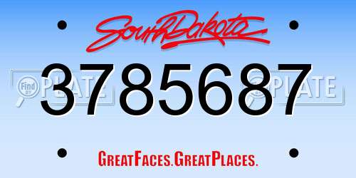 3785687 South Dakota License Plate