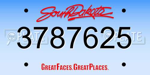 3787625 South Dakota License Plate