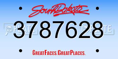 3787628 South Dakota License Plate