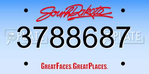 3788687 South Dakota License Plate