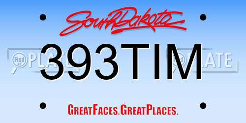 393TIM South Dakota License Plate