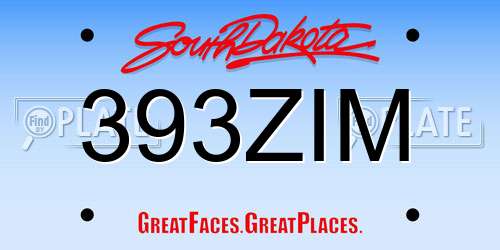 393ZIM South Dakota License Plate