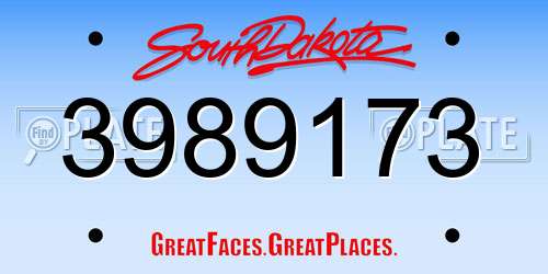 3989173 South Dakota License Plate