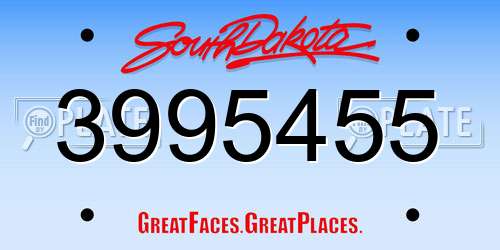 3995455 South Dakota License Plate