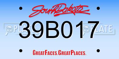 39B017 South Dakota License Plate