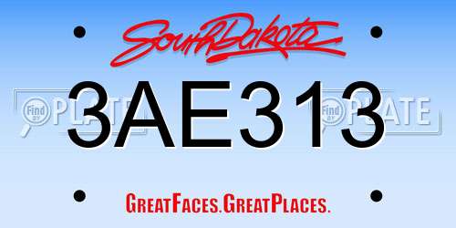 3AE313 South Dakota License Plate