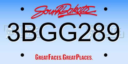 3BGG289 South Dakota License Plate