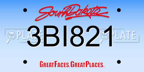 3BI821 South Dakota License Plate