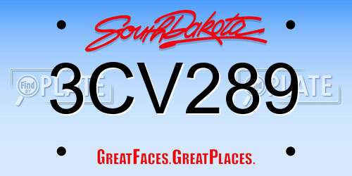 3CV289 South Dakota License Plate