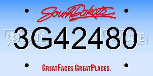 3G42480 South Dakota License Plate