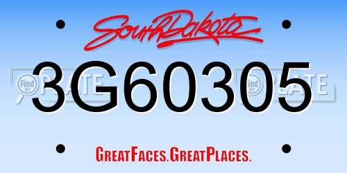 3G60305 South Dakota License Plate