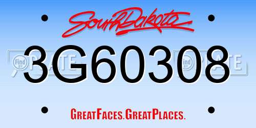 3G60308 South Dakota License Plate