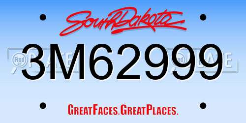 3M62999 South Dakota License Plate