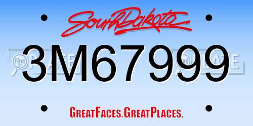 3M67999 South Dakota License Plate