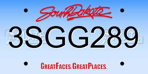 3SGG289 South Dakota License Plate