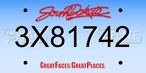 3X81742 South Dakota License Plate