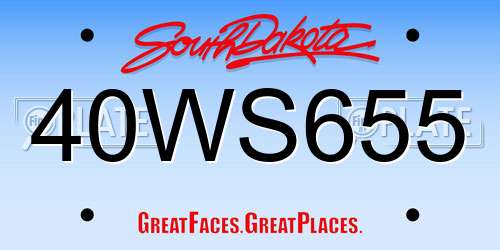40WS655 South Dakota License Plate