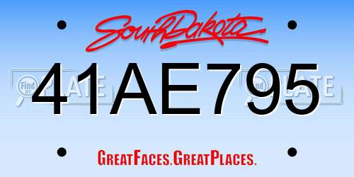 41AE795 South Dakota License Plate