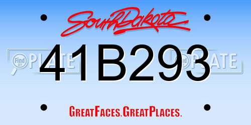 41B293 South Dakota License Plate