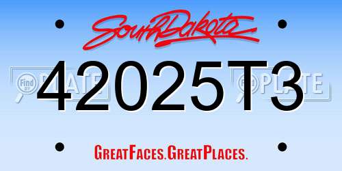 42025T3 South Dakota License Plate