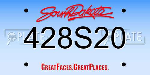 428S20 South Dakota License Plate