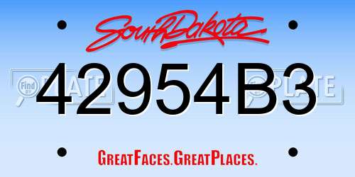 42954B3 South Dakota License Plate