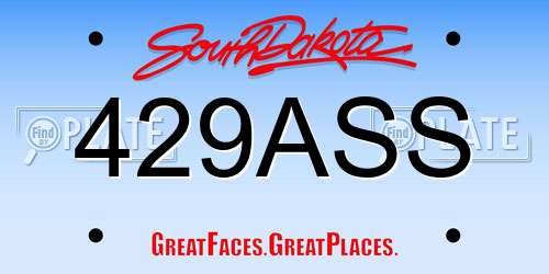 429ASS South Dakota License Plate