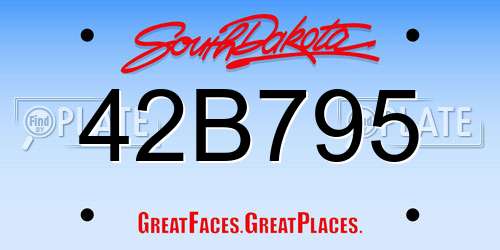 42B795 South Dakota License Plate