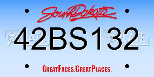 42BS132 South Dakota License Plate