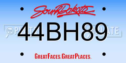 44BH89 South Dakota License Plate