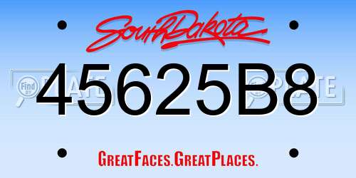 45625B8 South Dakota License Plate
